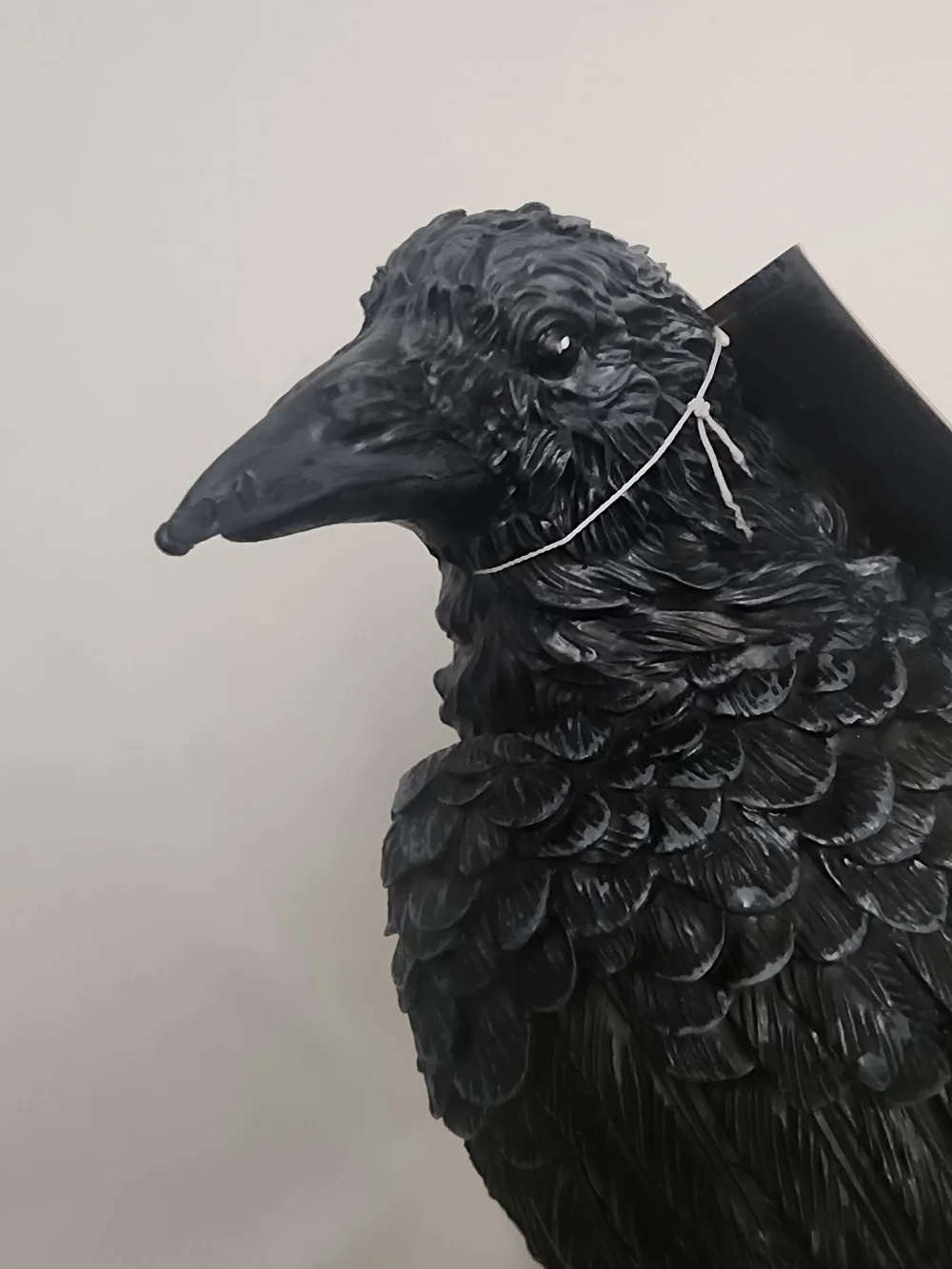 N/A elegant black